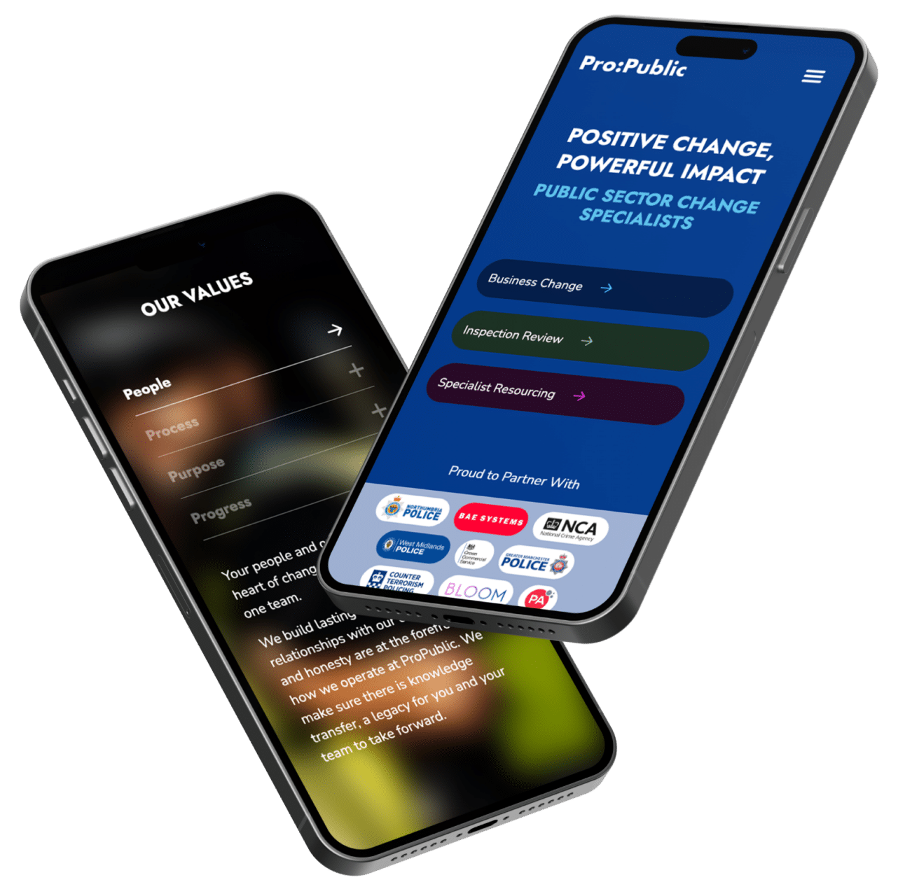Pro:Public website shown on mobile devices - responsive consultancy website